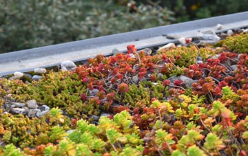 the cost of Scuggate green roof installation