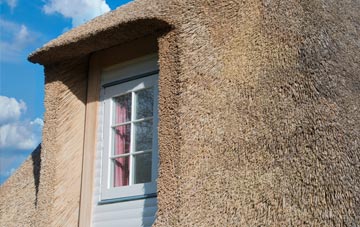 Scuggate thatch roof disadvantages